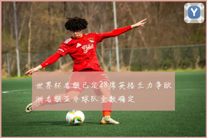 世界杯名额已定28席英格兰力争欧洲名额亚非球队全数确定