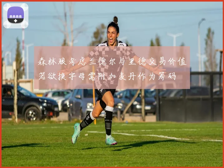 森林狼考虑兰德尔与里德交易价值若欲换字母需附加麦丹作为筹码