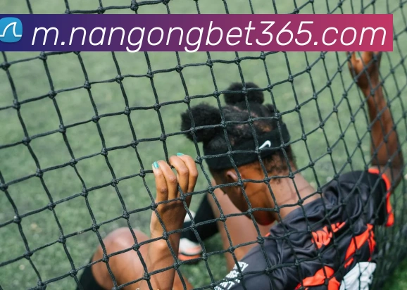 南宫体育APP 封面图